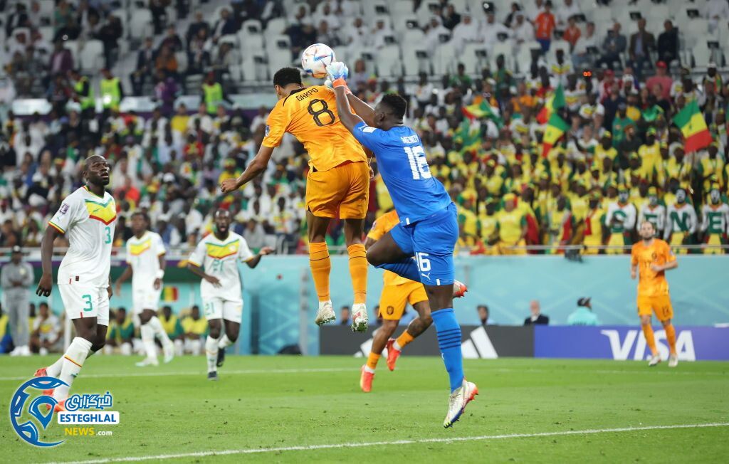 سنگال 0-2 هلند
